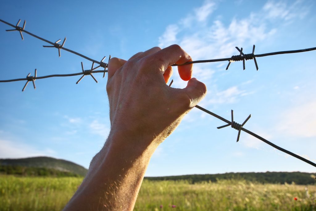 Hand of prison and nature